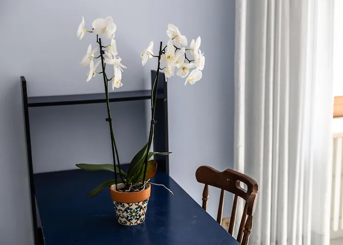 Tatil Evi Casa Sabina - Anacapri (Isola di Capri)